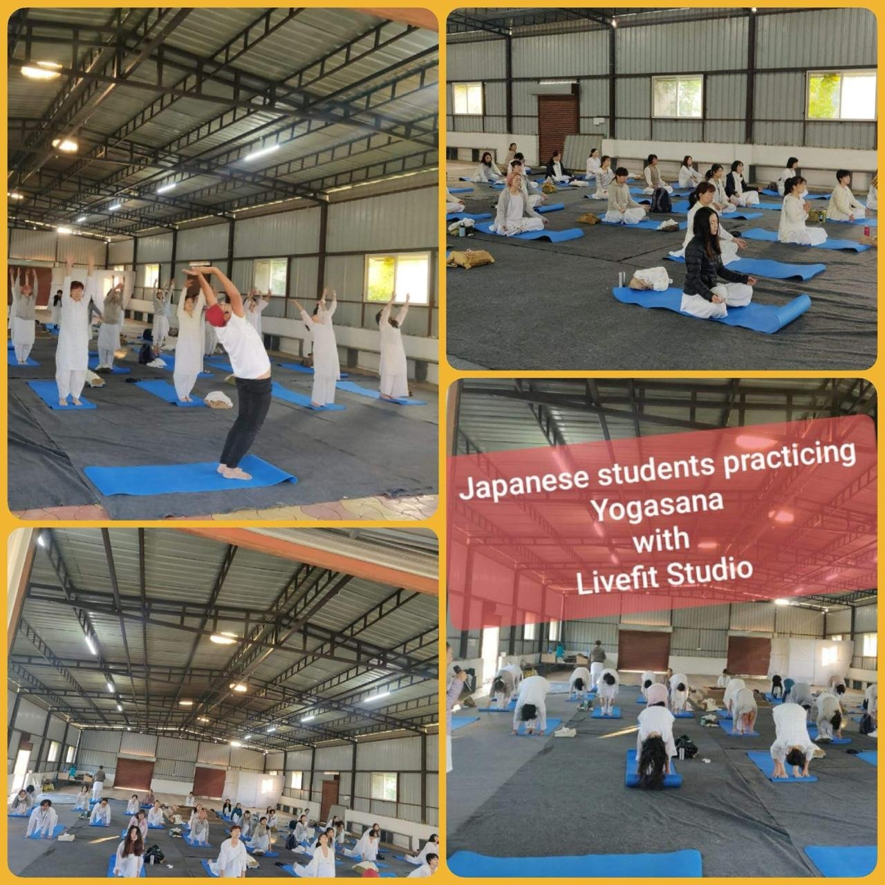 Japanese students practicing yogasana with LiveFit Studio collage